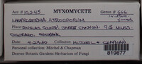 Image Associated With the Occurence